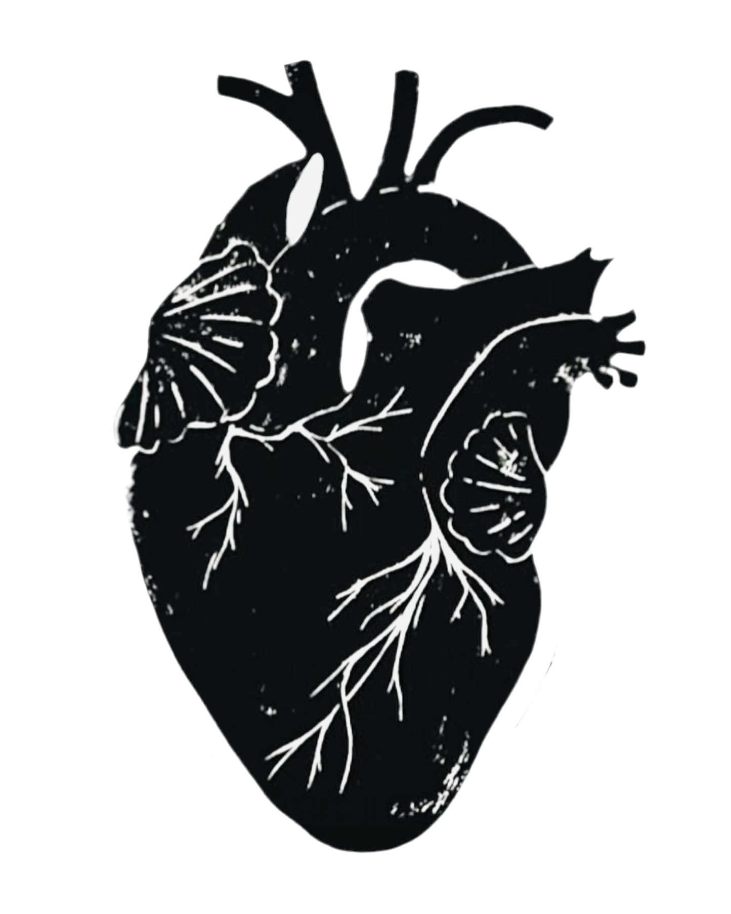 Front label of Vin Noé Amour Vache 2021 Organic Gamay Natural Red Wine showing design and details