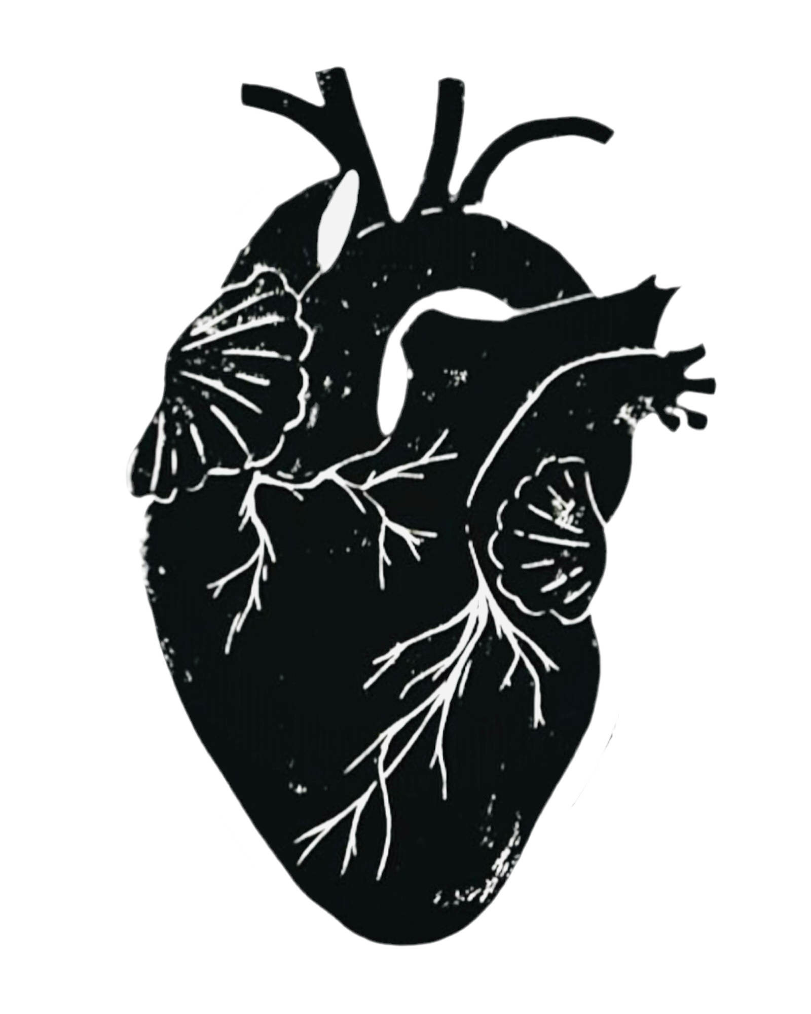 Front label of Vin Noé Amour Vache 2021 Organic Gamay Natural Red Wine showing design and details