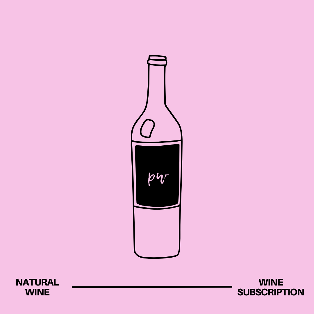 Natural Wine Subscription Solo Plan – 1 Bottle Monthly from Painted Wines