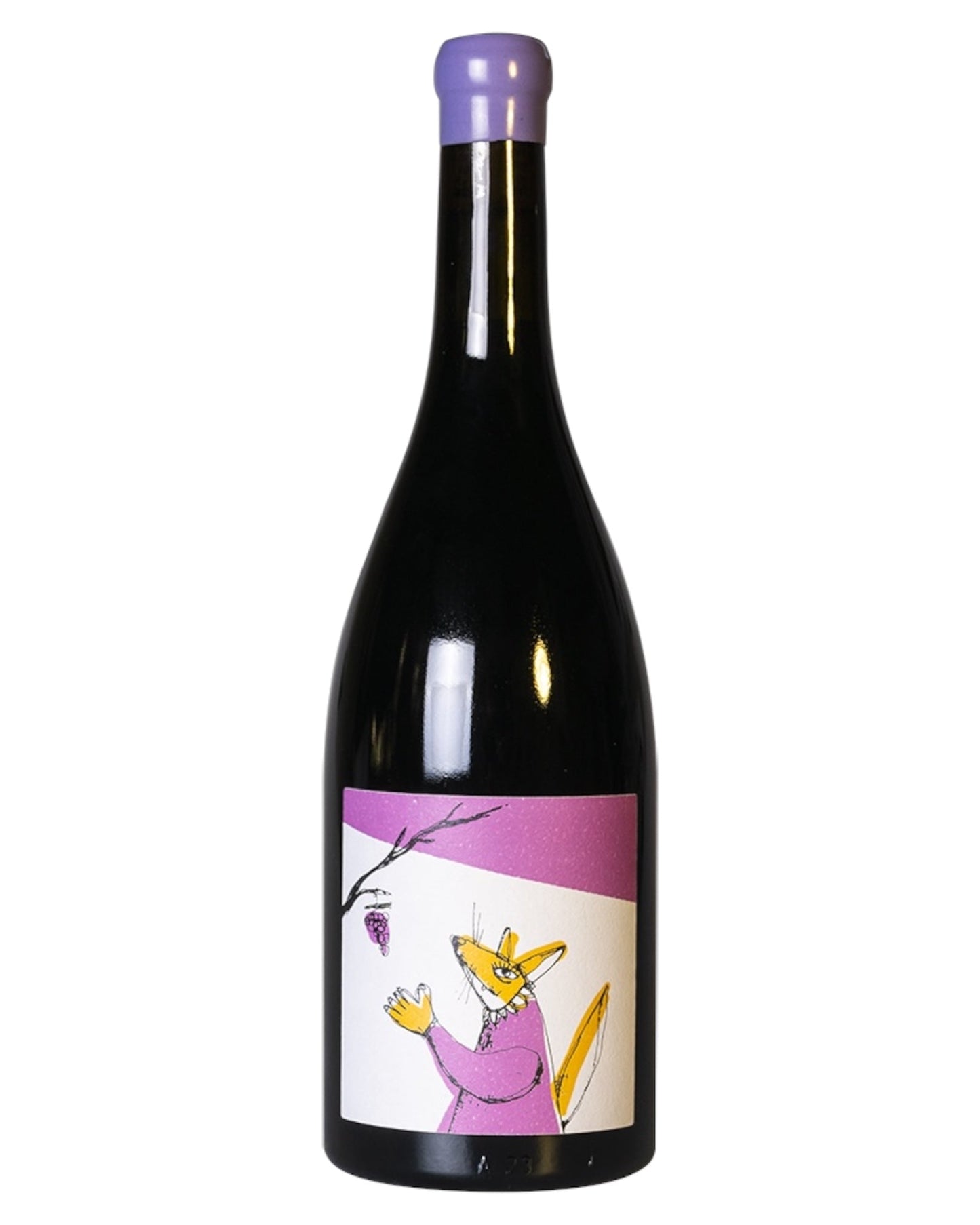 Bottle of Tenuta Foresto La Ideale 2022 Organic Biodynamic Barbera Red Wine from Italy