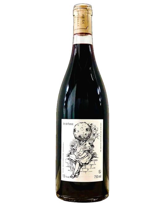 Bottle of Philippe Delmee La Lune 2022 Organic Cabernet Franc Natural Red Wine from France