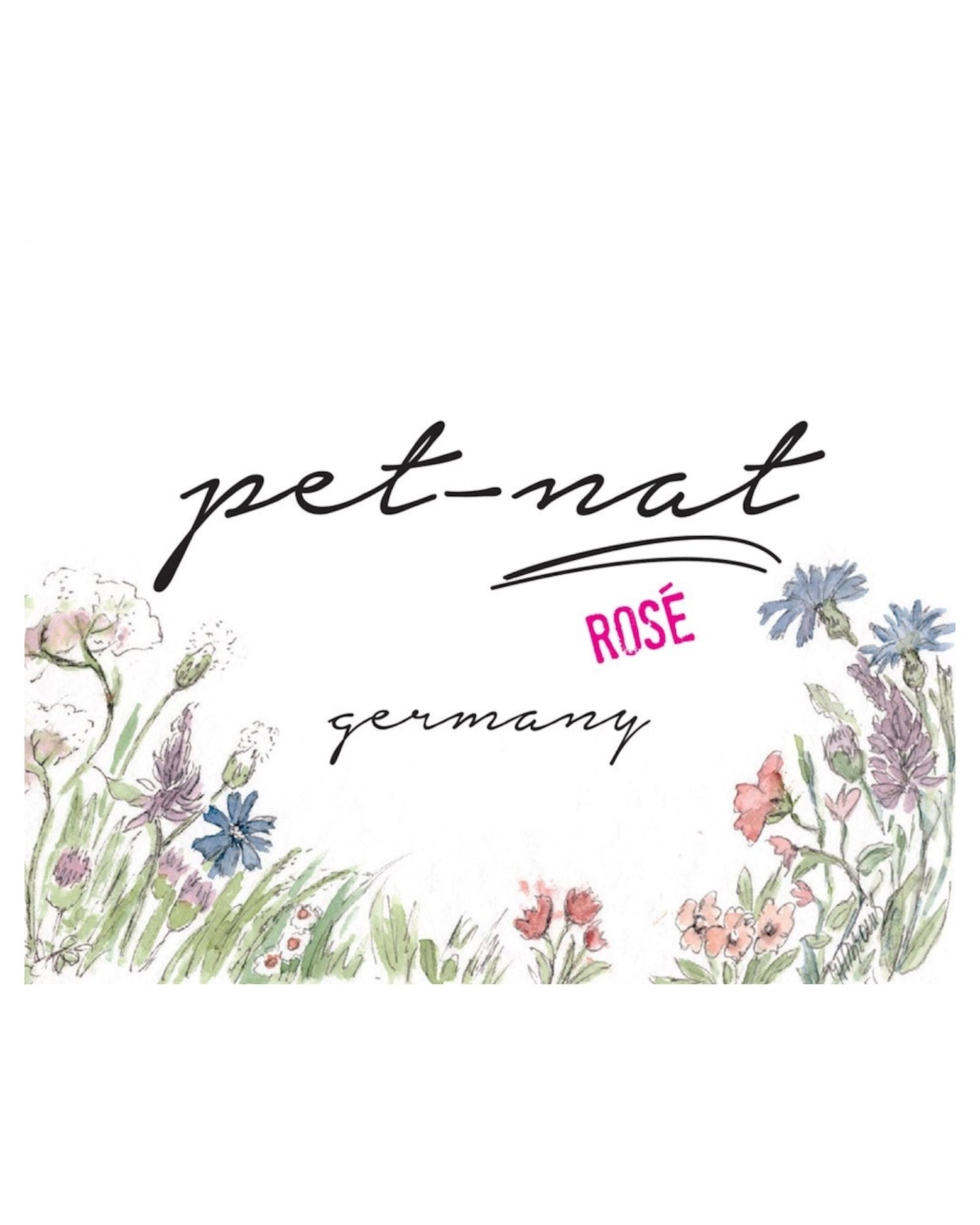 Front label of Weingut Brand Rosé Pet Nat 2022 Sparkling Pinot Noir Natural Wine showing design and details