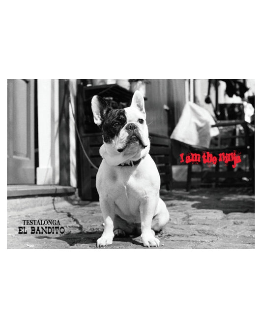 Testalonga, El Bandito I Am The Ninja Pet Nat 2024 wine label