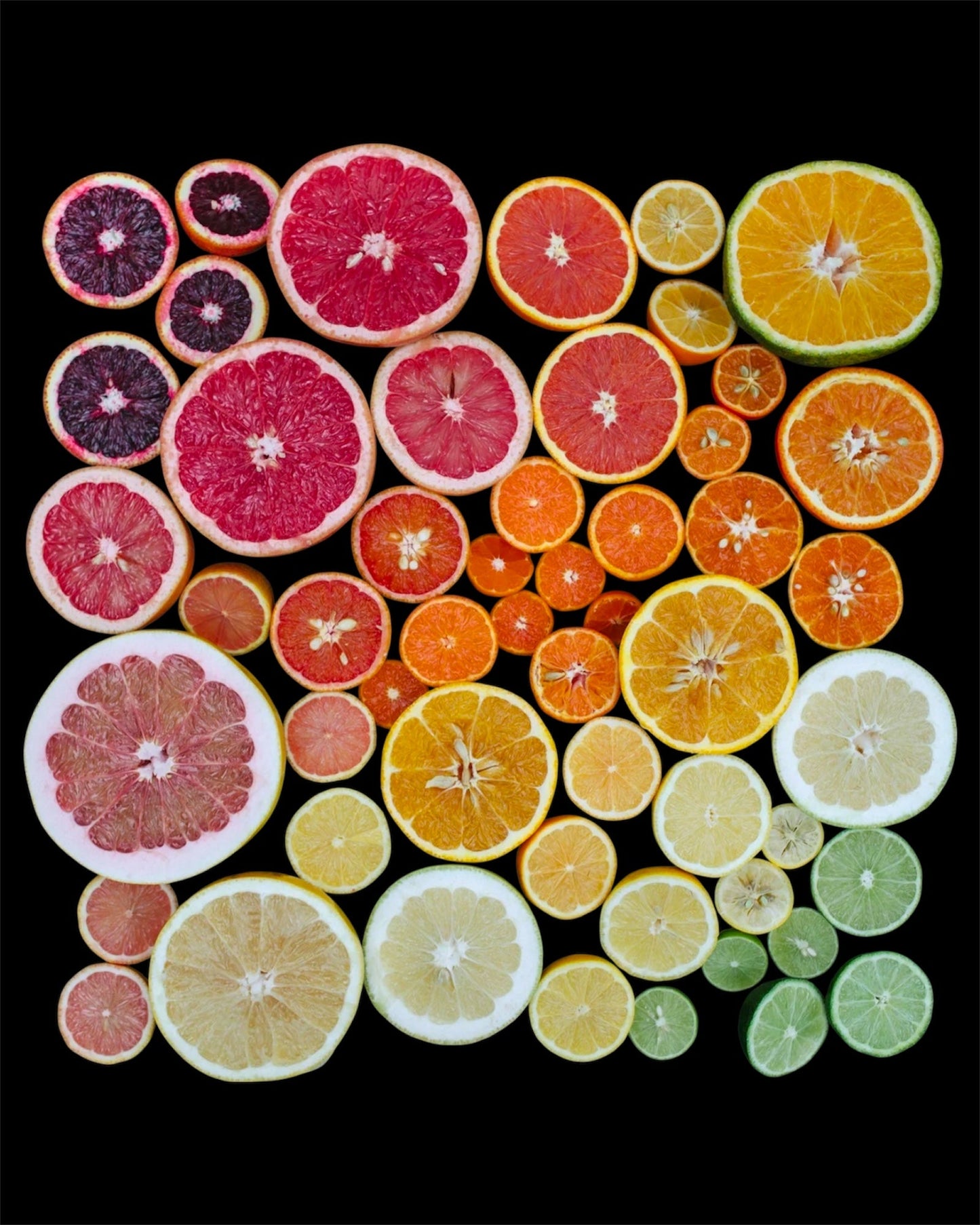 Remi Sedes, Samplemousse Rose 2023 Label