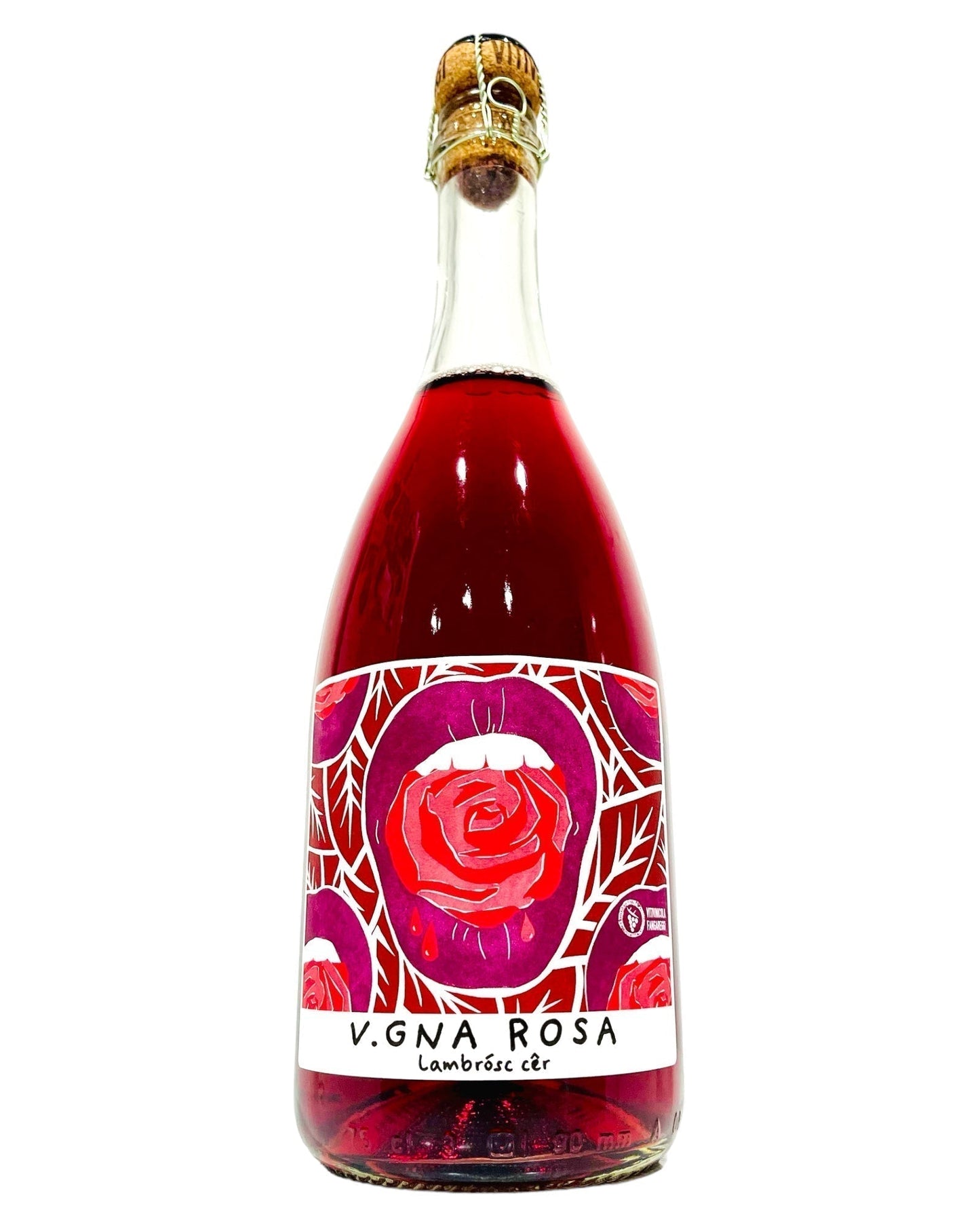 Bottle of Vigna Rosa Lambrusco Blend Organic Fortana Pinot Noir Sparkling Wine from Italy