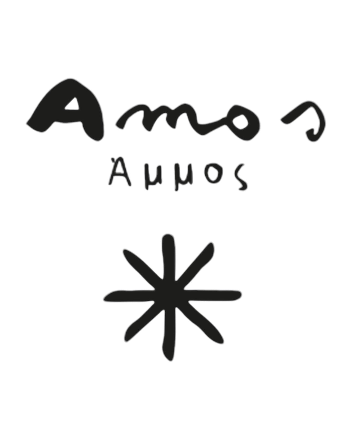 Front label of Valdisole Amos 2020 Biodynamic Nebbiolo Natural Red Wine showing design and details