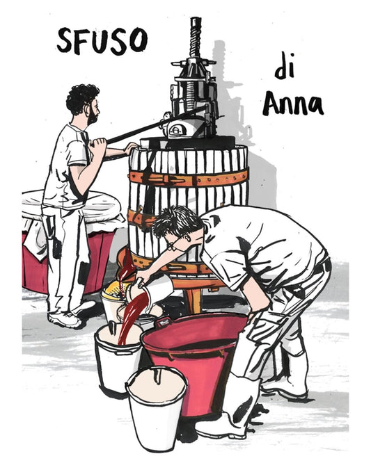 Front label of Vino Di Anna SFUSO Di Anna 2022 Organic Red Wine Nerello Mascalese showing design and details