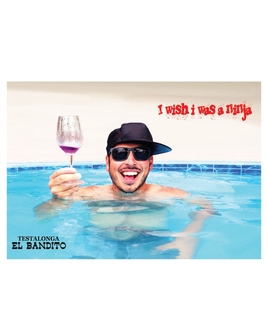 Testalonga, El Bandito I Wish I Was a Ninja Pet Nat 2023 wine label