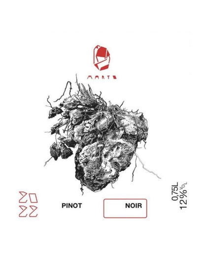 Marto Wines Pinot Noir 2022 wine label