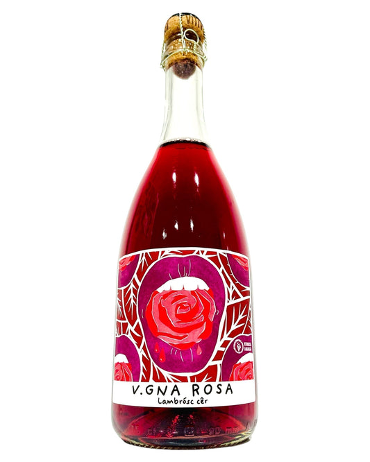 Bottle of Vigna Rosa Lambrusco Blend Organic Fortana Pinot Noir Sparkling Wine from Italy