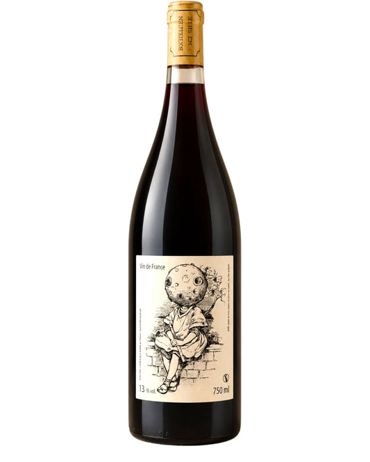 Philippe Delmee La Lune 2022 organic Cabernet Franc natural red wine bottle from Loire, France