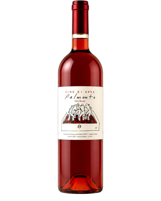 Vino di Anna Palmento Rosso 2024 organic Mount Etna red wine bottle