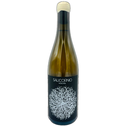 Casa Balaguer, Salicornio Moscatel 2021 - Painted Wines